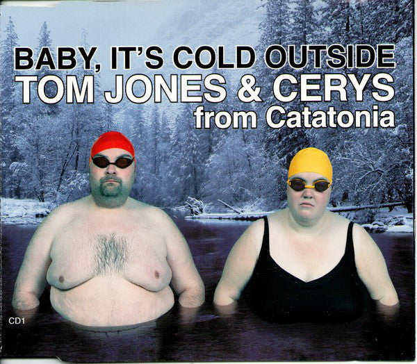 Tom Jones - Baby, It's Cold Outside - Used CD