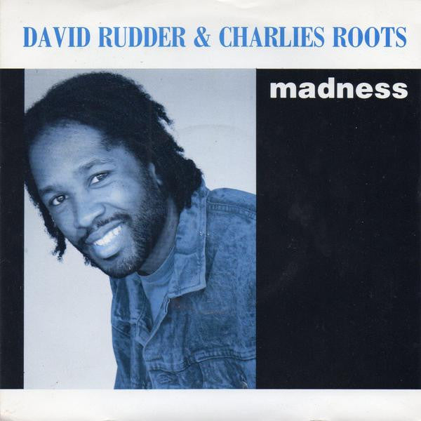 David Rudder - Madness - Used Vinyl Record 7"