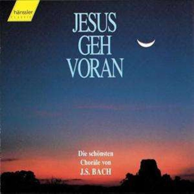 VARIOUS - JESUS GEH VORAN - CD