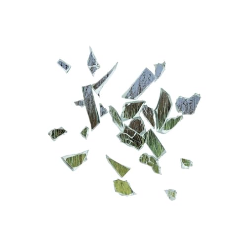 se New Puritans - Field of Reeds - Vinyl Record VINYL