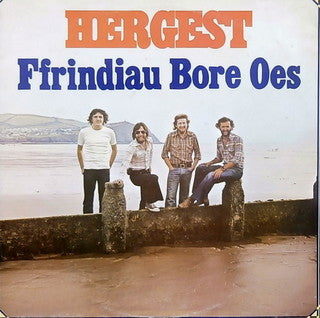 Hergest - Ffrindiau Bore Oes - Used Vinyl Record