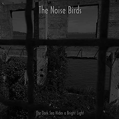 NOISE BIRDS - DARK SEA HIDES A BRIGHT LI  TH - Vinyl Record