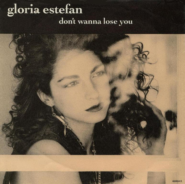 Gloria Estefan - Don't Wanna Lose You - Used Vinyl Record 7"