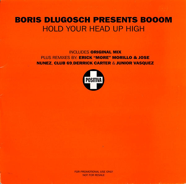 Boris Dlugosch - Hold Your Head Up High - Used Vinyl Record 1