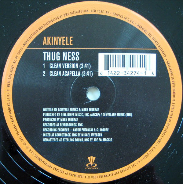 Akinyele - Thug Ness - Used Vinyl Record 12"