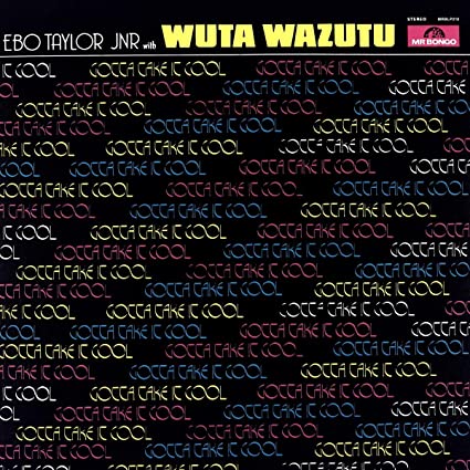 TAYLOR EBO JR WITH W - GOTTA TAKE IT COOL - Vinyl Record
