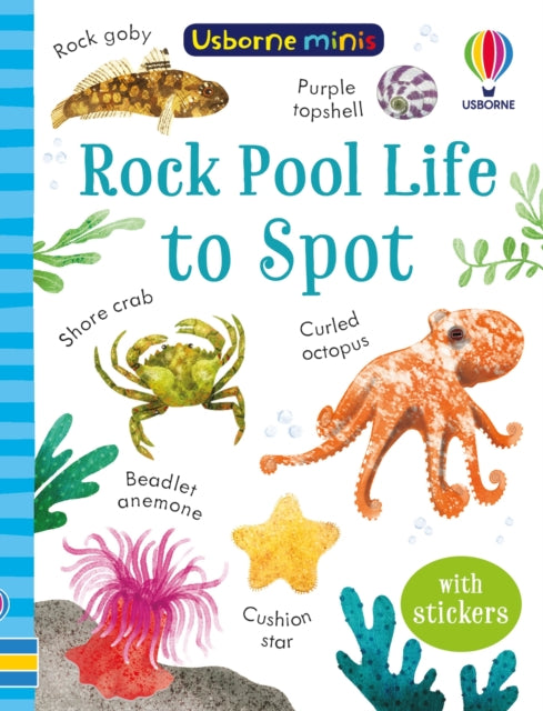 Simon Tudhope - Rock Pool Life to Spot - Paperback