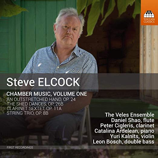 Veles Ensemble - Steve Elcock: Chamber Music - CD