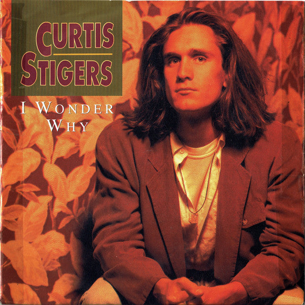 Curtis Stigers - I Wonder Why - Used Vinyl Record 7"