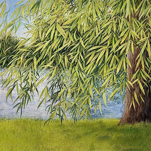 Martin Simpson/Thomm - Nothing But Green Willow: The Songs Of Mary Sands