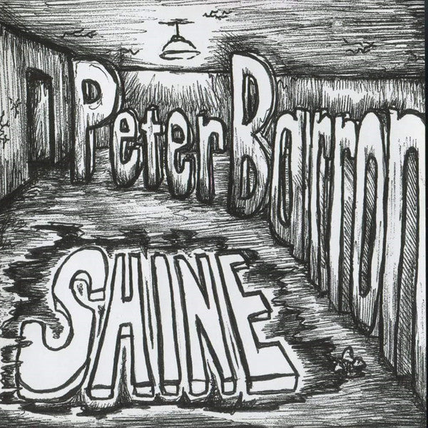 Peter Barron - Shine - Used CD