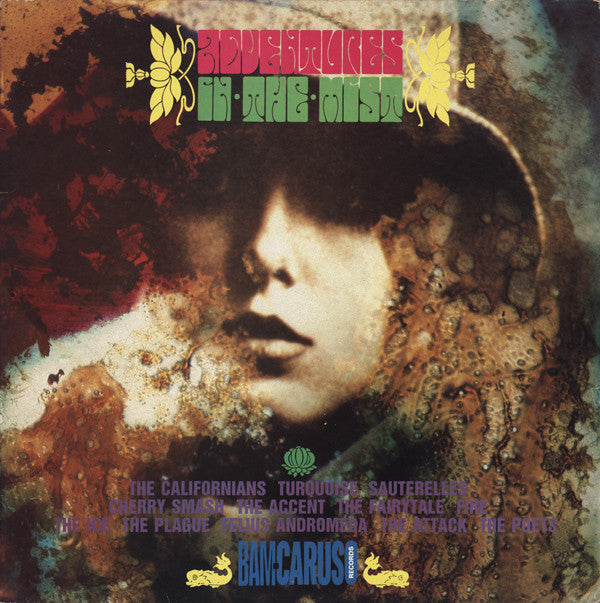 Various - Adventures In The Mist - Used Vinyl Record