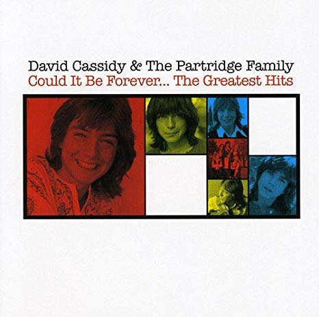 David Cassidy - Could It Be Forever... The Greatest Hits - CD