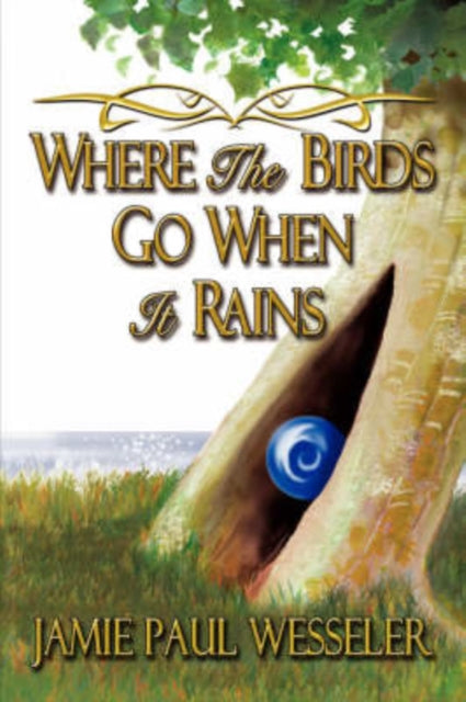 Wesseler - Where The Birds Go When It Rains - New paperback or softbac