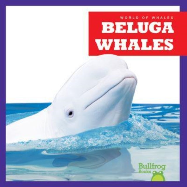 Katie Chanez - Beluga Whales - Hardback