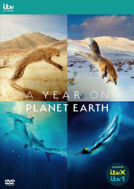 A Year On Planet Earth - DVD