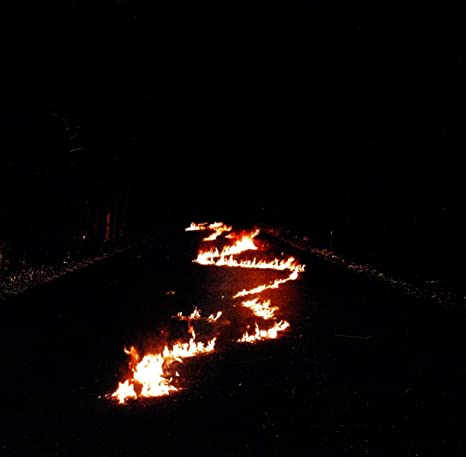 BOB MOSES - BATTLE LINES - CD ALBUM