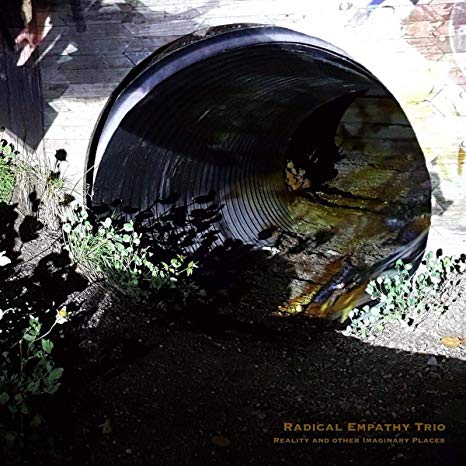 Radical Empathy Trio - Reality and Other Imaginary Places - CD