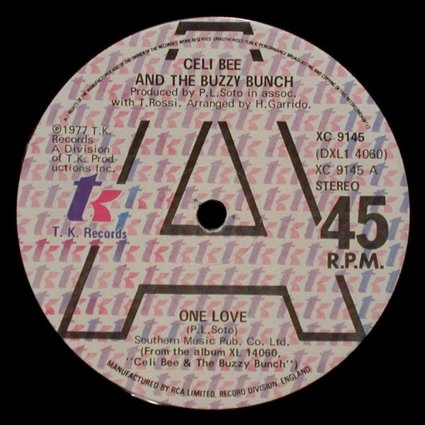Celi Bee & The Buzzy - One Love / Hurt Me, Hurt Me - Used Vinyl Recor