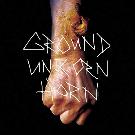 Ground Unicorn Horn - Damn I Wish I Was Fat - Vinyl Record Vinyl
