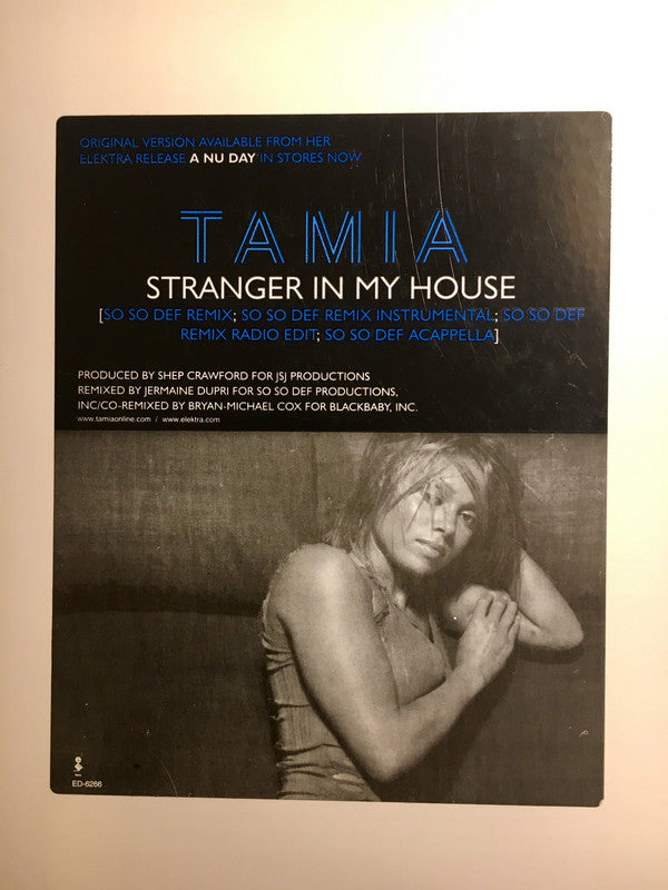 Tamia - Stranger In My House - Used Vinyl Record 12"