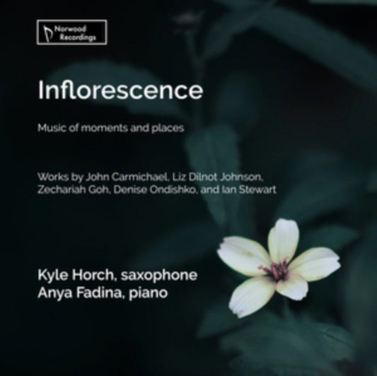KYLE HORCH/ANYA FADI - INFLORESCENCE - MUSIC MOMENTS - CD