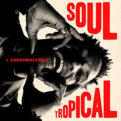 David Walters - Soul Tropical CD - CD