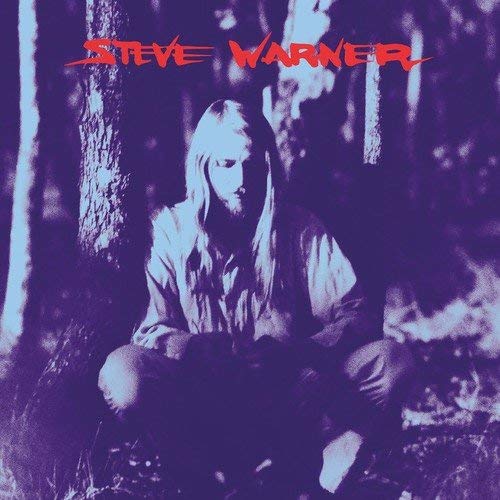 Steve Warner - Vinyl Record Vinyl