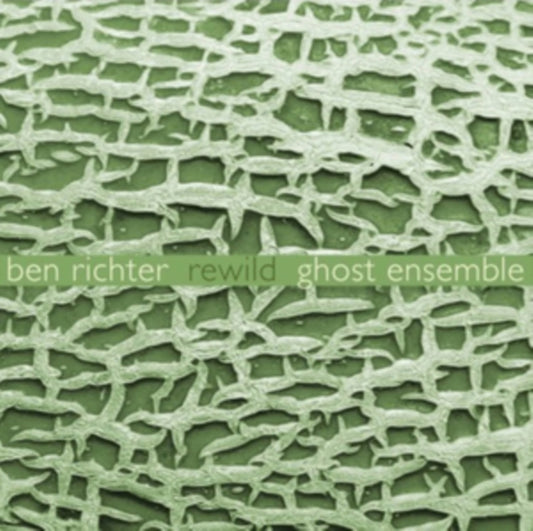 Ghost Ensemble: Marg - Rewild - CD