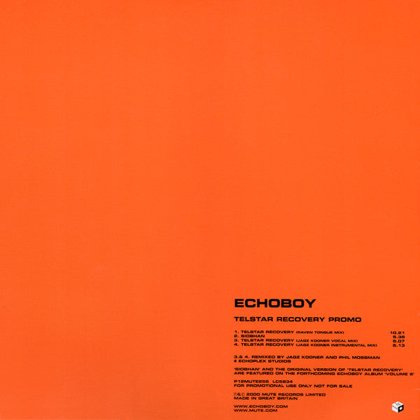 Echoboy - Telstar Recovery - Used Vinyl Record 12"