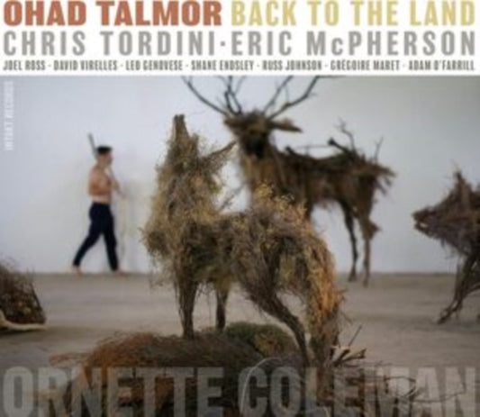 Ohad Talmor - Back to the Land - CD