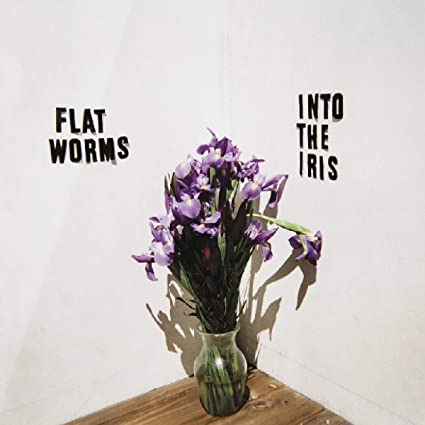 FLAT WORMS - INTO THE IRIS - Vinyl Record 12"