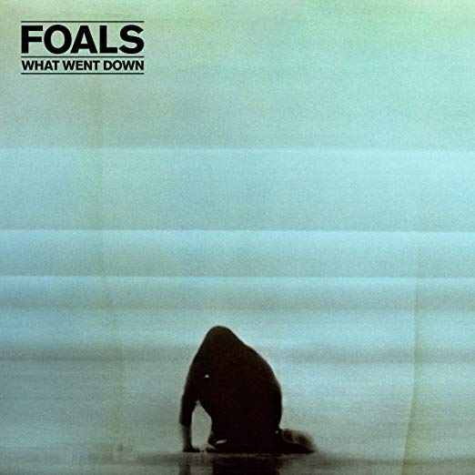 Foals - What Went Down - Vinyl Record