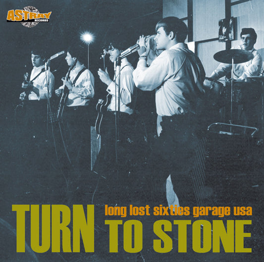 Various - Turn To Stone (Long Lost Sixties Garage USA) - Used Vinyl