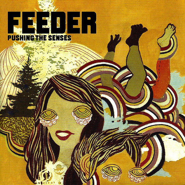 Feeder - Pushing The Senses - Used CD