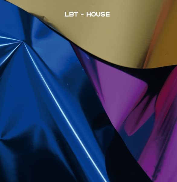 HOUSE - Vinyl Record 10