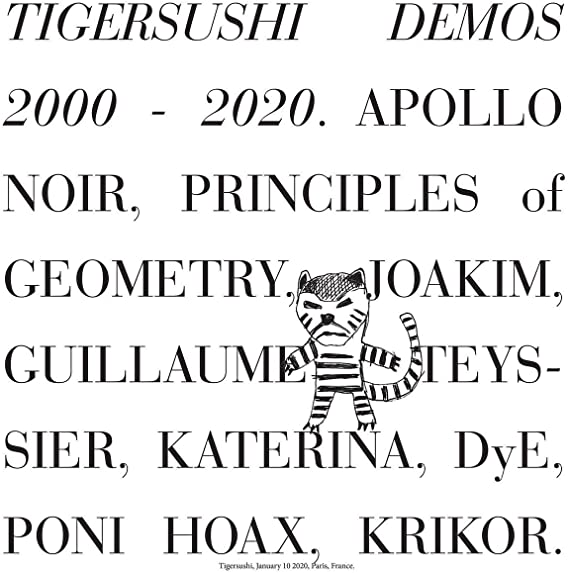 VARIOUS ARTISTS - TIGERSUSHI DEMOS 2000-2020 - Vinyl Record