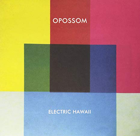 Opossom - Electric Hawaii - Vinyl Record