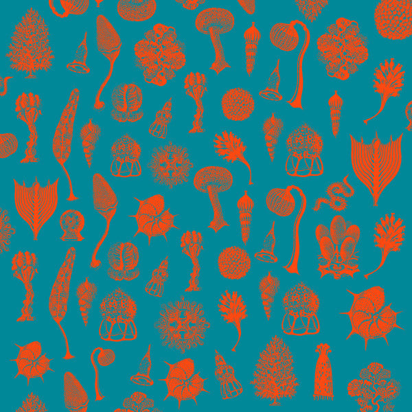 Danny Scrilla - Daybreak - New Vinyl Record 12"