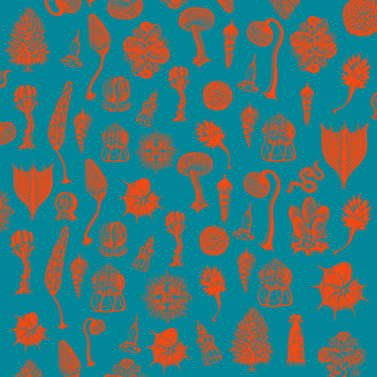 Danny Scrilla - Daybreak - New Vinyl Record 12"