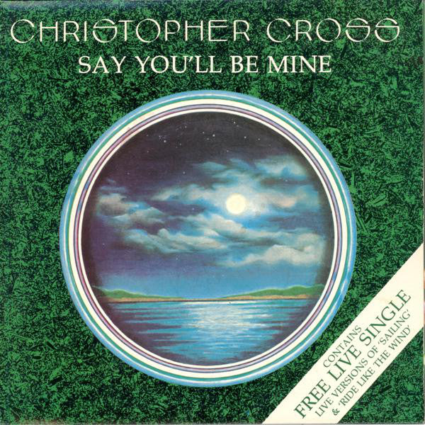 Christopher Cross - Say You'll Be Mine - Used Vinyl Record 7"