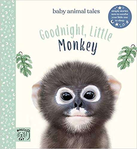 Amanda Wood - Goodnight, Little Monkey - New Hardback