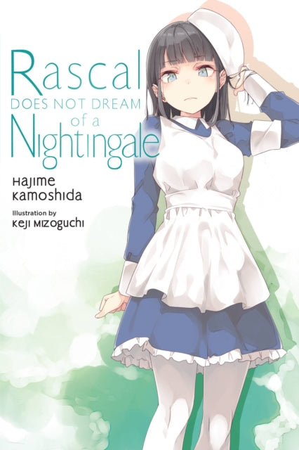 Hajime Kamoshida - Rascal Does Not Dream, Vol. 11 (light novel) - Pape