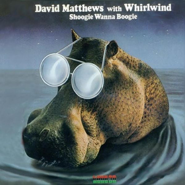 Dave Matthews - Shoogie Wanna Boogie - Used Vinyl Record