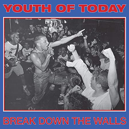 YOUTH OF TODAY - BREAK DOWN THE WALLS - Vinyl Record