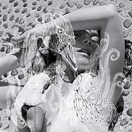BjÃ¶rk - Vespertine - Cassette Tape