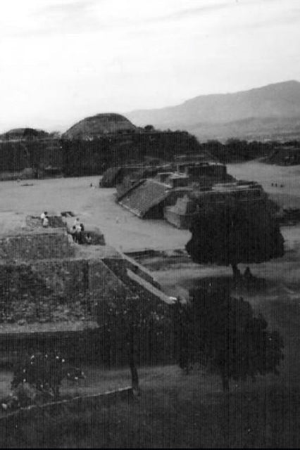 Johnson - No Home For Exiles  notes from teaching abroad - New paperba