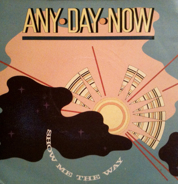 Any Day Now - Show Me The Way (Grand Groove) - Used Vinyl Record 7"