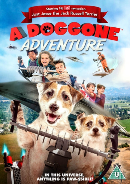 Doggone Adventure - DVD