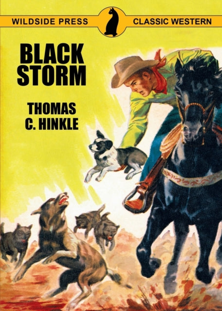 Hinkl - Black Storm - New paperback or softback